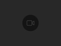 Conjunto Bermuda - Essencial - Chumbo